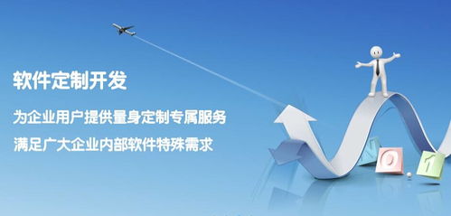 寧河企業(yè)管理系統(tǒng)開(kāi)發(fā) 軟件外包服務(wù)的優(yōu)勢(shì)與實(shí)施策略